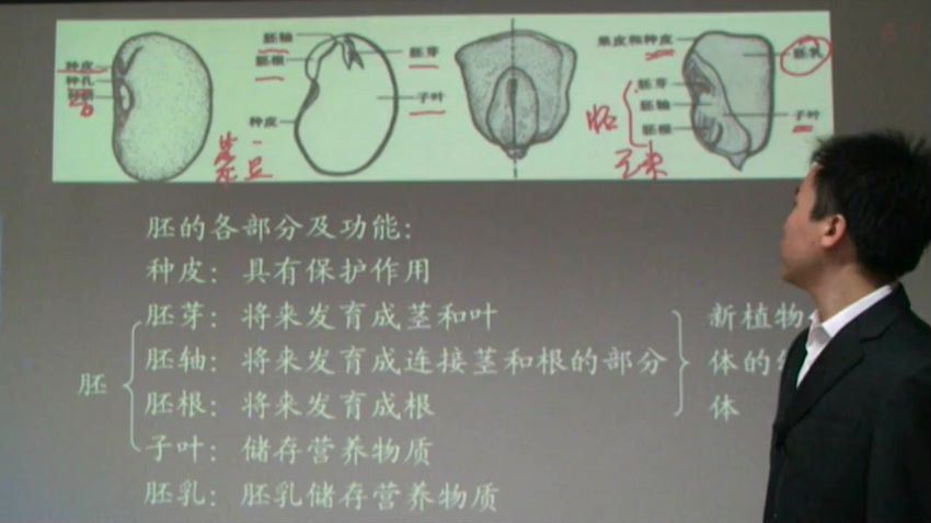 同步课程：初一生物苏教版（新），百度网盘(1.62G)