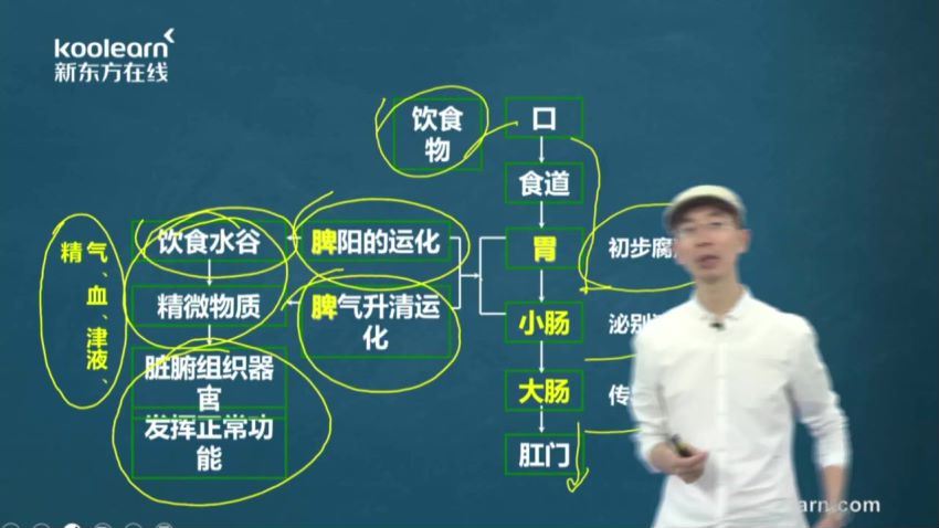 新东方2022中医考研中医基础理论，百度网盘(6.05G)