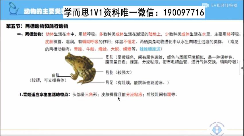 初二生物上学期同步课（人教版） (629.64M)