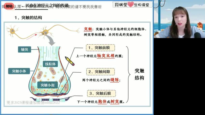 2023高二高途生物段瑞莹秋季班，百度网盘(3.75G)