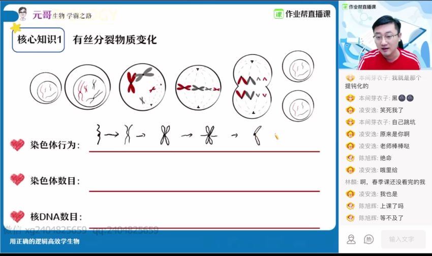 【2021暑假班】高三生物-张元振，网盘下载(22.29G)