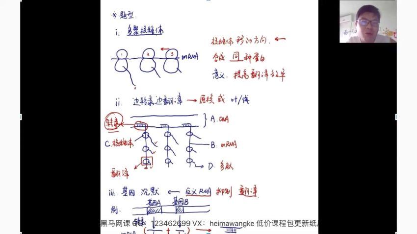 2020高考生物暑期班（必修二）(有道精品万猛) (7.65G)