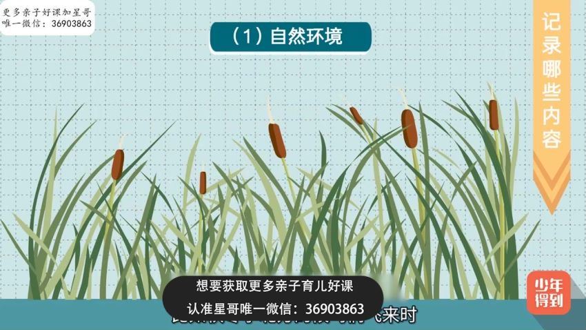 小学新教材作文通关丨日记周记，百度网盘(1.18G)