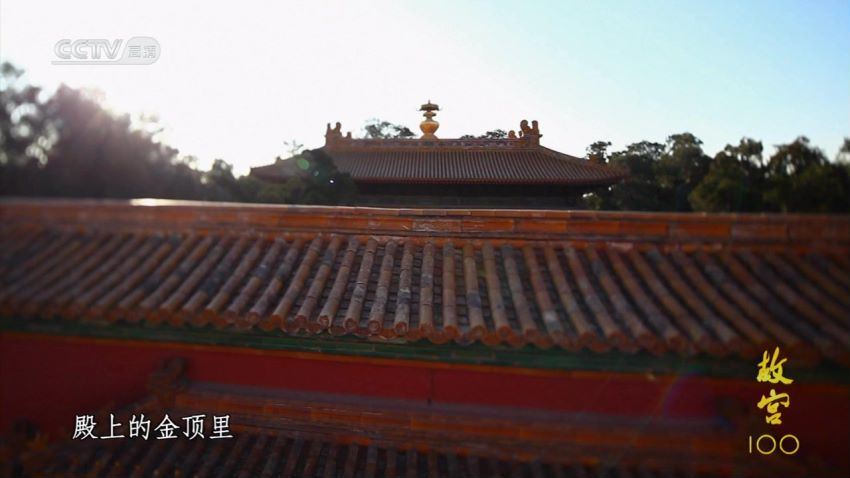 抖音课程：【更新中】博士晴妈，网盘下载(100.52G)