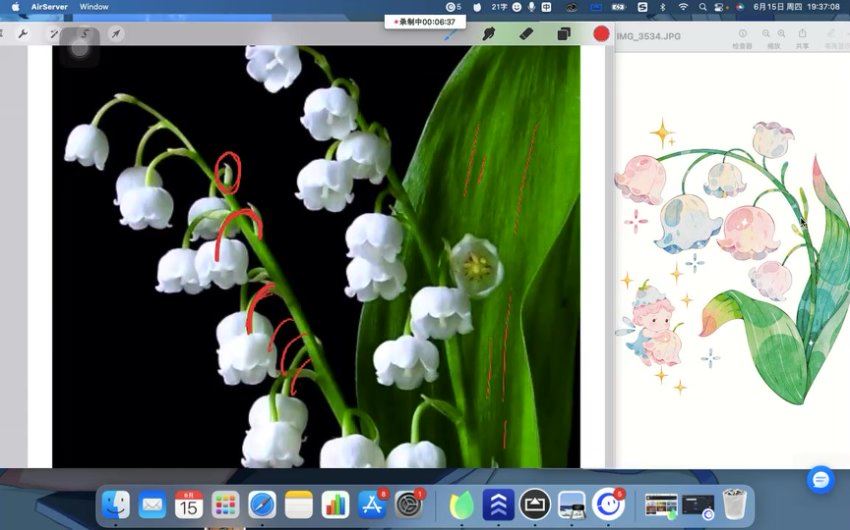 昭春落日2023年iPad水彩花卉课part1【画质高清有笔刷和课件】，百度网盘(4.02G)