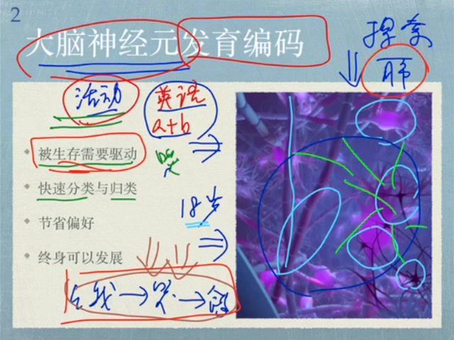 孙路弘如何学习-数语外，百度网盘(1.84G)