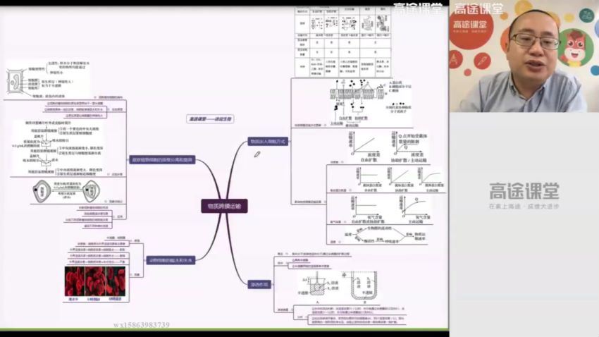 徐京2019高一生物暑假班 (25.06G)