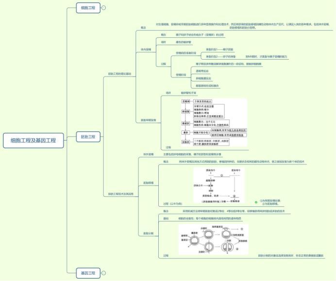 2023高三作业帮生物邓康尧生物福利资料，百度网盘(24.99M)