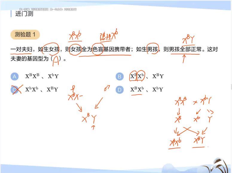 猿辅导2020高一生物寒假系统班路菲必修2 (1.42G)