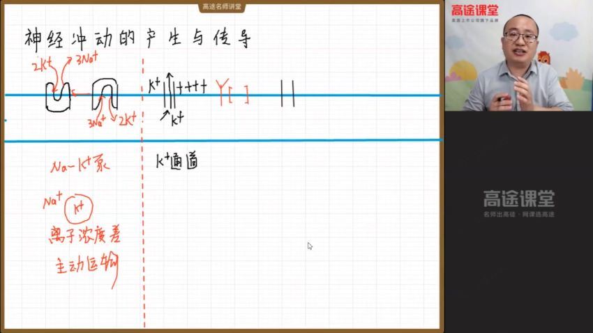 2021高二生物徐京暑假班，网盘下载(3.82G)