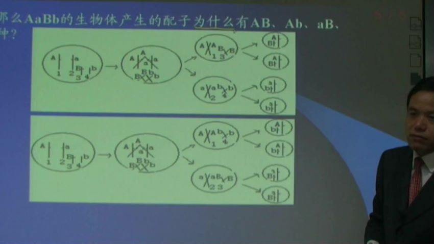 同步课程：高一生物人教实验版（必修2），百度网盘(5.32G)