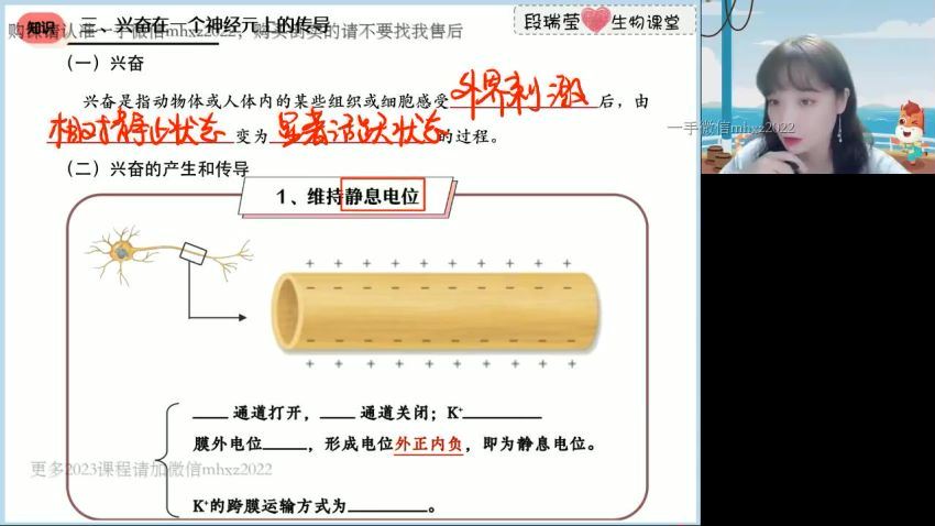 2023高二高途生物段瑞莹暑假班，百度网盘(1.85G)