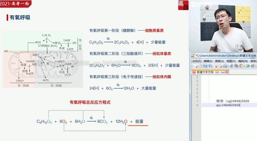 张鹏2021暑期班生物 (25.69G)