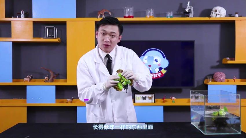 小象科学三年级上同步科学课（59节）（960×540视频），百度网盘(1.36G)