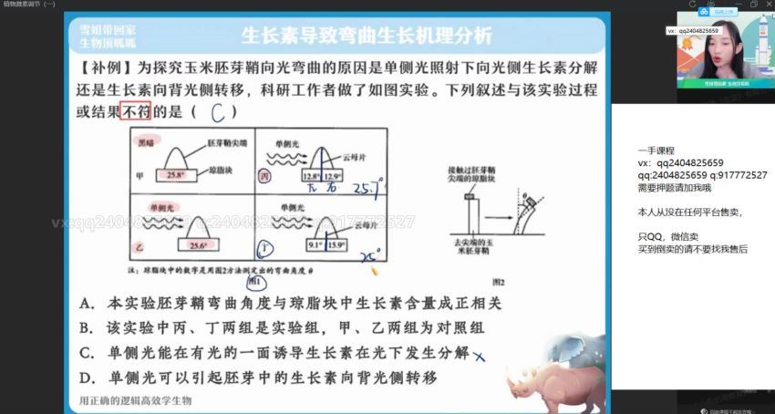 2022作业帮高二生物杨雪秋季班（尖端），百度网盘(34.86G)