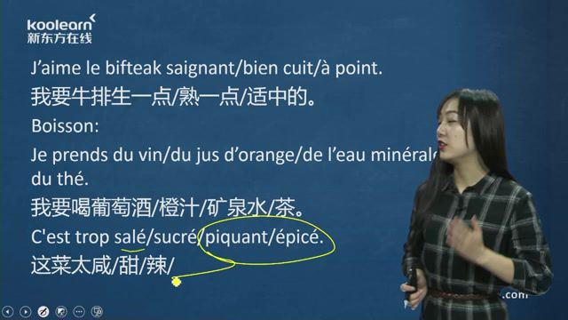 新东方日常法语口语交际（17课时）（1.31G标清视频），百度网盘(1.31G)