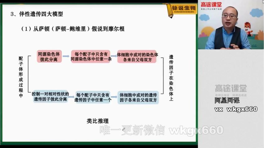 徐京2021生物一轮复习联报班，百度网盘(9.63G)