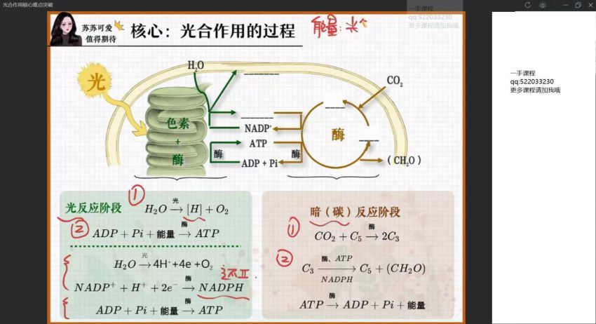 【22届-秋季班】高三生物（苏萧伊），百度网盘(33.83G)