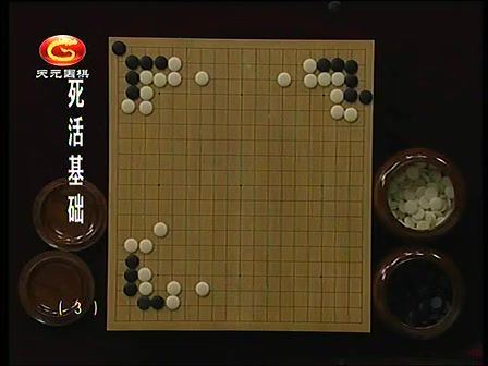 围棋视频集《初级入门与提高篇》，百度网盘(19.07G)