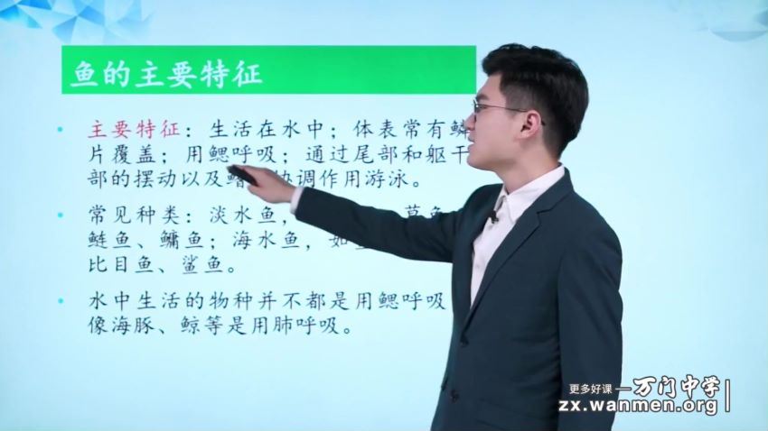 靳翔宇初中生物八年级上（同步基础）视频课程25讲 (2.53G)