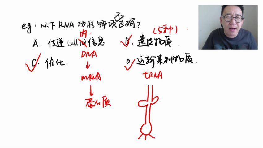 2022高三有道生物陈旭晨暑假班，百度网盘(4.53G)