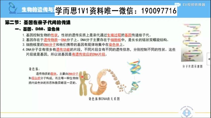 初二生物下学期同步课（人教版） (869.07M)