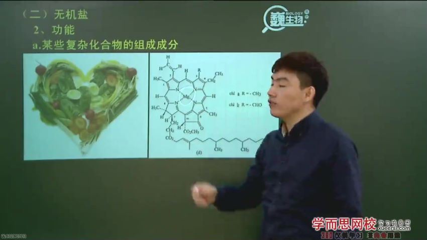 陆巍巍精华高中生物全套视频课程百度云网盘下载209讲 (50.01G)