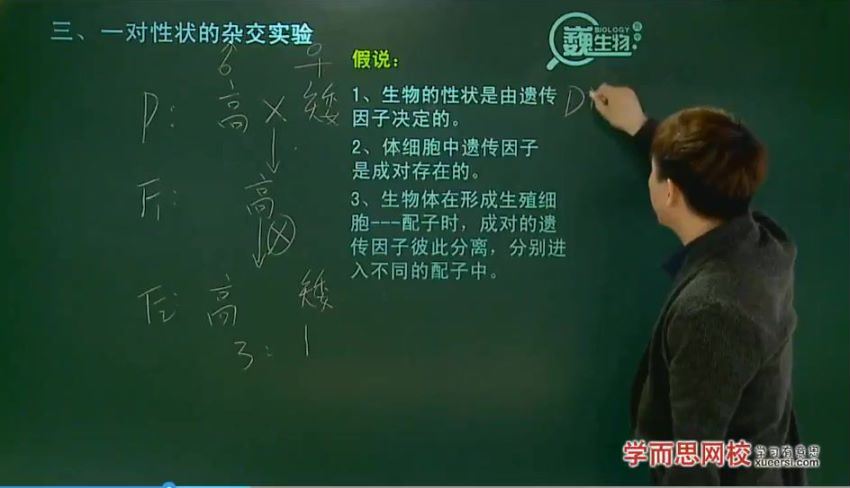 陆巍巍高一生物必修年卡必修1、2（人教版）70讲 (19.06G)