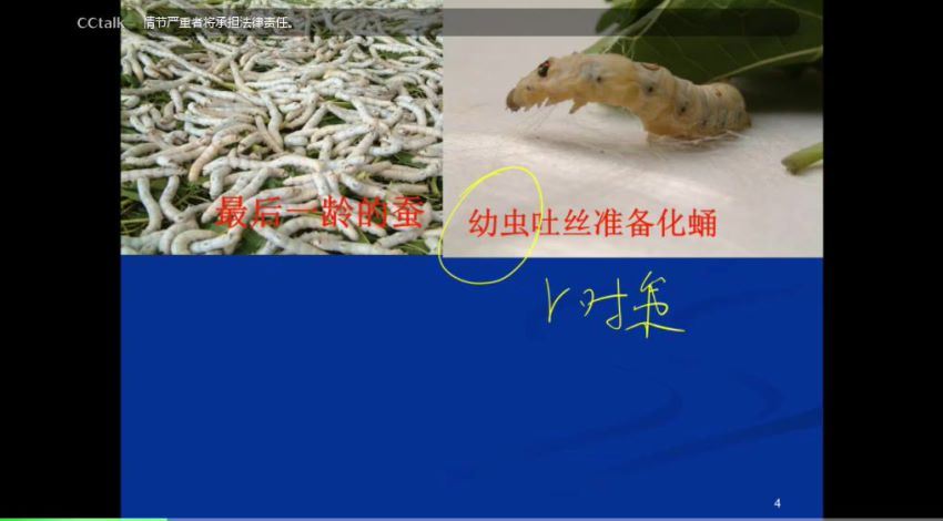 黄森初中生物同步课程(八年级上册)学科精粹 (2.50G)