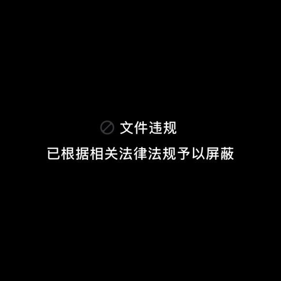 丁子江初中历史八年级下－基础同步视频课程40讲 (2.24G)