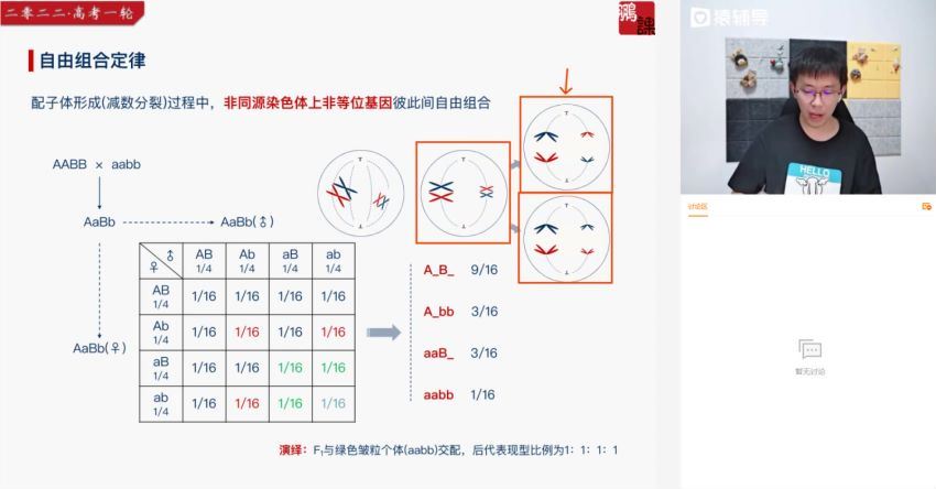 2022猿辅导高三生物张鹏A+班，百度网盘(50.28G)