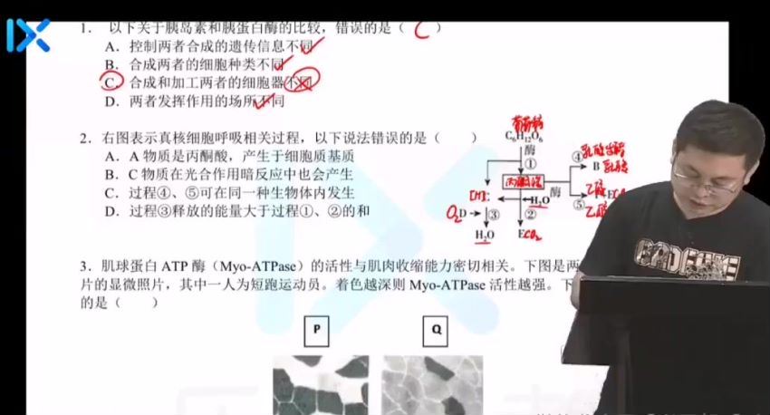 2022高三乐学生物任春磊终极预测，百度网盘(1.34G)