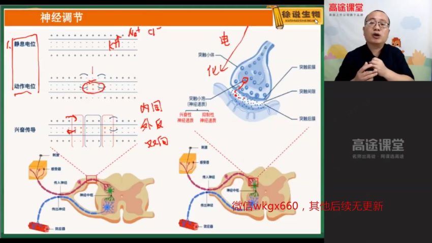 2021高二生物徐京暑假班，网盘下载(3.82G)