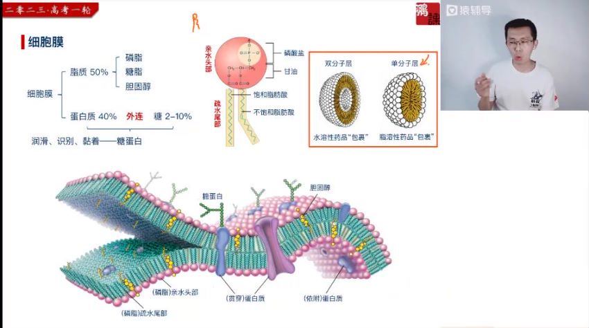 2023高三猿辅导生物张鹏一轮暑假班，百度网盘(8.76G)