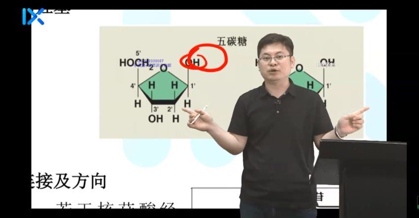 任春磊2022高考生物第一阶段园长，网盘下载(5.72G)