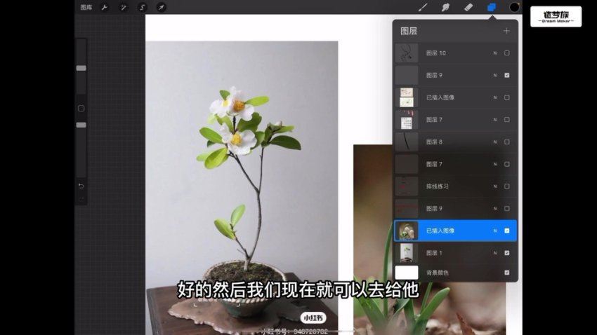 造梦族益生菌六合一商业插画系统课，百度网盘(266.17G)