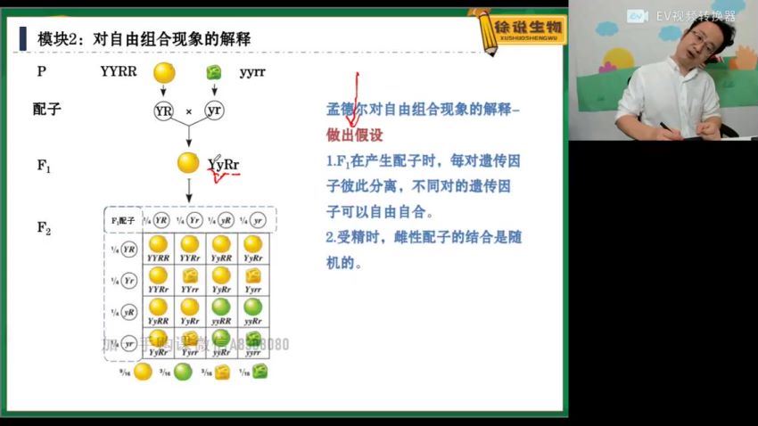 2022高一高途生物徐京春季班，百度网盘(2.31G)