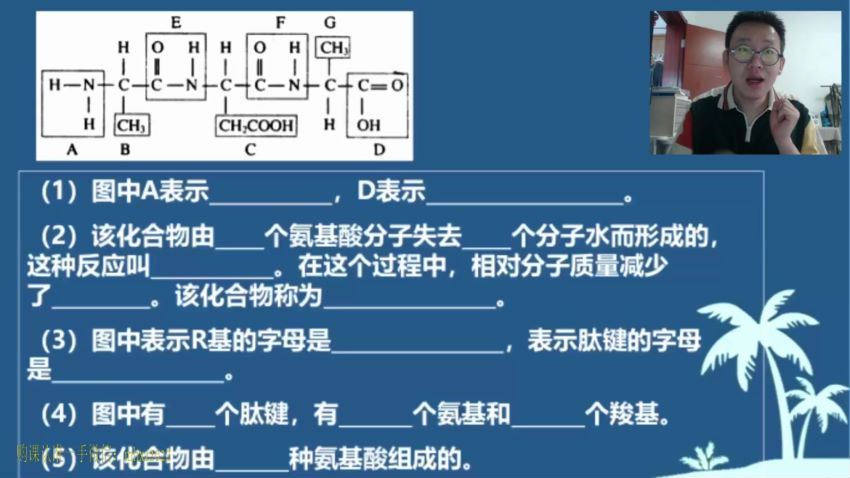 2022高一有道生物陈旭晨暑假班，百度网盘(2.56G)