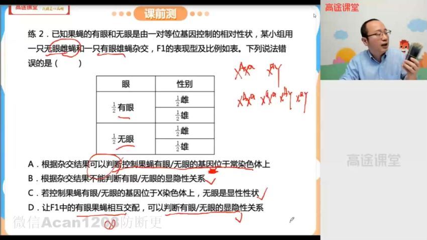 高途课堂 徐京2021高考 高三生物春季班，百度网盘(5.63G)