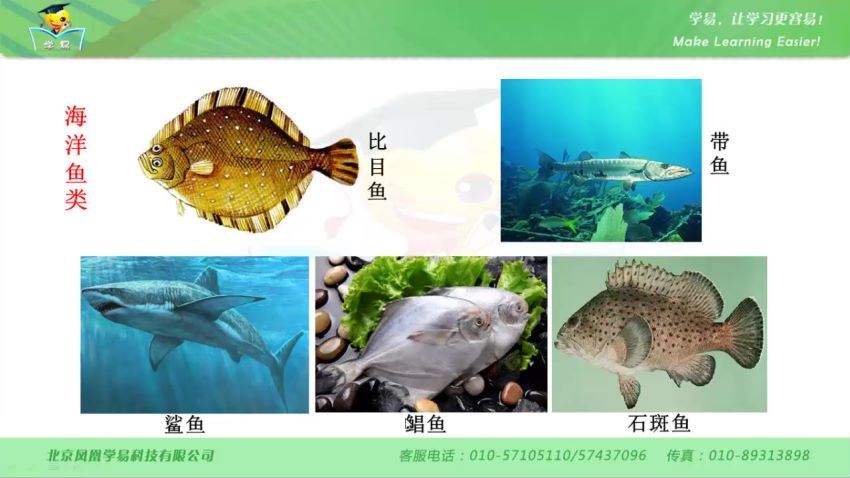 学科网名师微课堂初中八年级生物教学视频（初二），百度网盘(654.84M)