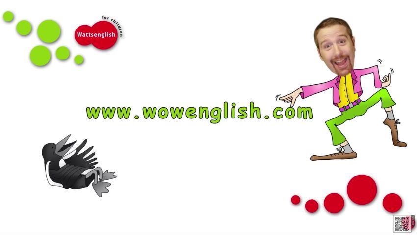 史提夫少儿趣味英语动画wowEnglish儿童学英语动画片366集 (15.44G)