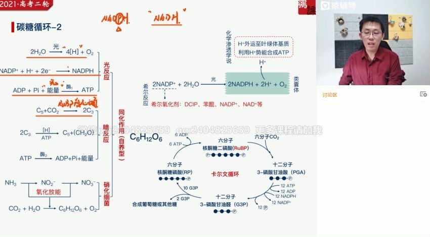 张鹏高三生物寒假班（985） (17.10G)