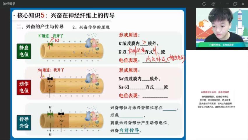 2022高二作业帮生物杨雪生物续报资料，百度网盘(837.26M)