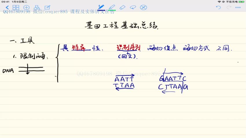 【万猛生物】2021高考生物 万猛生物一轮复习联报班 