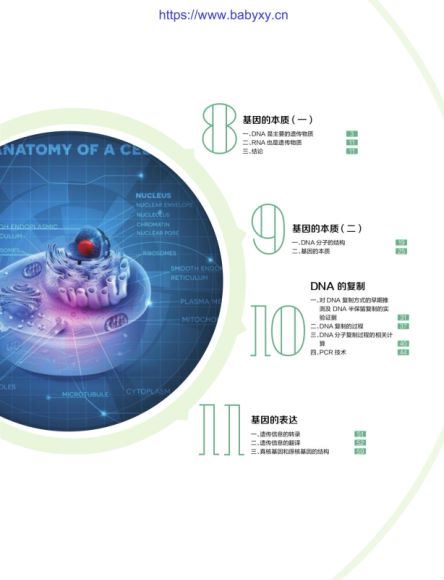 陆巍巍2020春季高一生物目标清北班直播（全国） (8.17G)