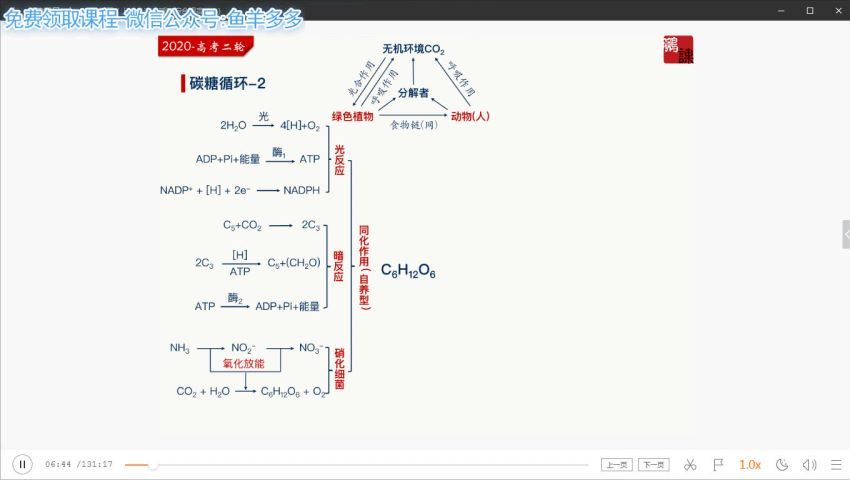 2020猿辅导张鹏生物寒假班（完结）（高清视频），百度网盘(4.62G)