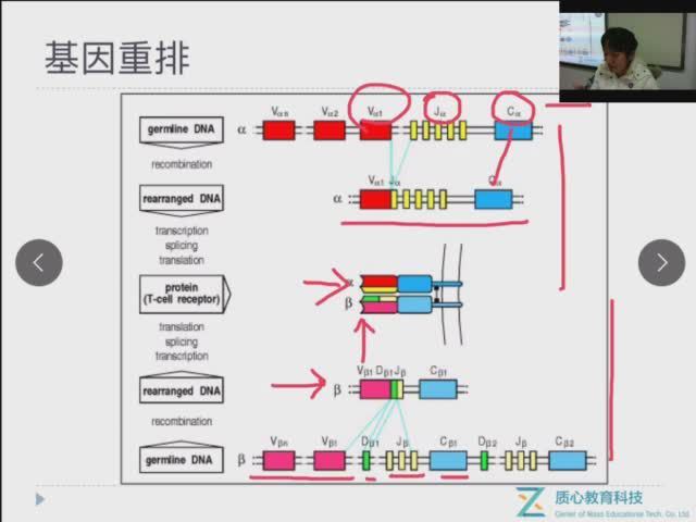 质心生物竞赛秋季续报班（线上班） (9.19G)，网盘下载(9.19G)