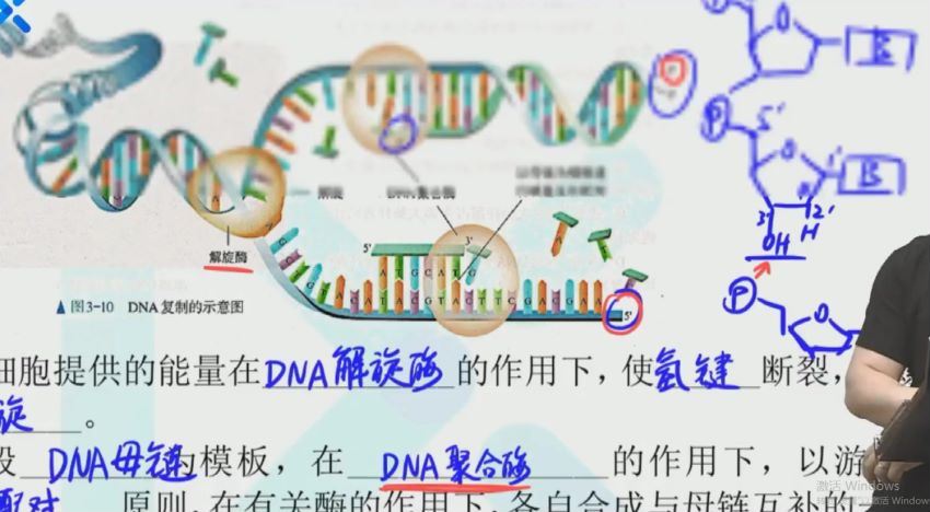 任春磊2021高考生物第二阶 (15.36G)