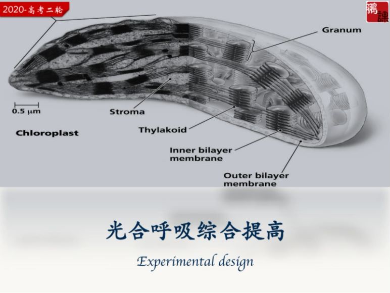 2020猿辅导张鹏高三生物寒假班，网盘下载(4.69G)