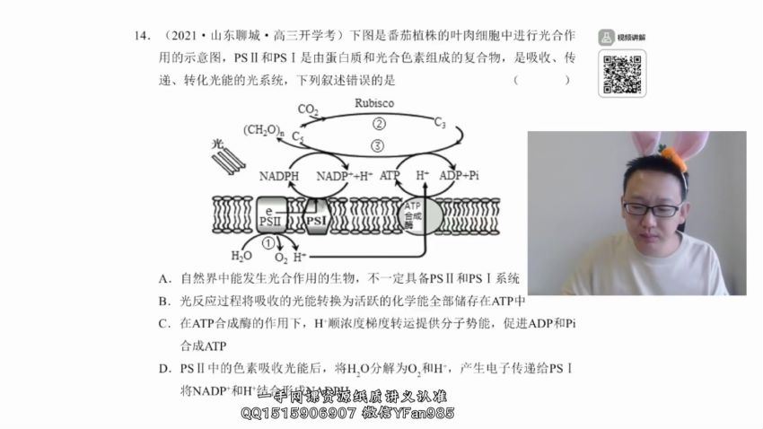 2022高三有道生物陈旭晨秋季班，百度网盘(4.88G)